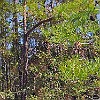 Ah! : Lake Bastrop South Shore